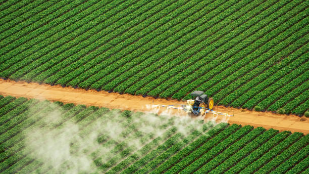 Best Termite Control Services  in Penbrook, PA